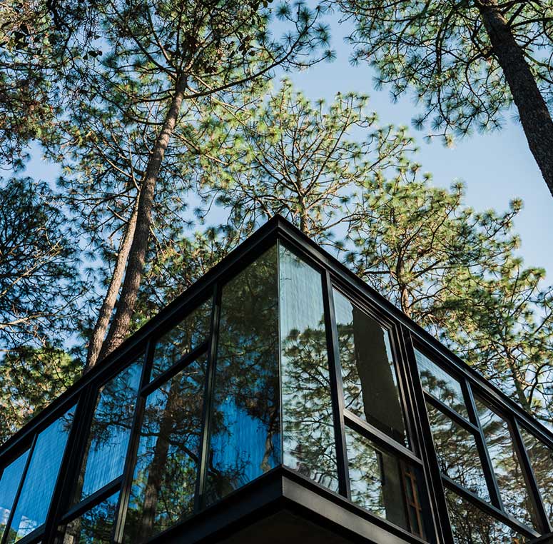 Desarrollo Sierra del Venado tapalpa