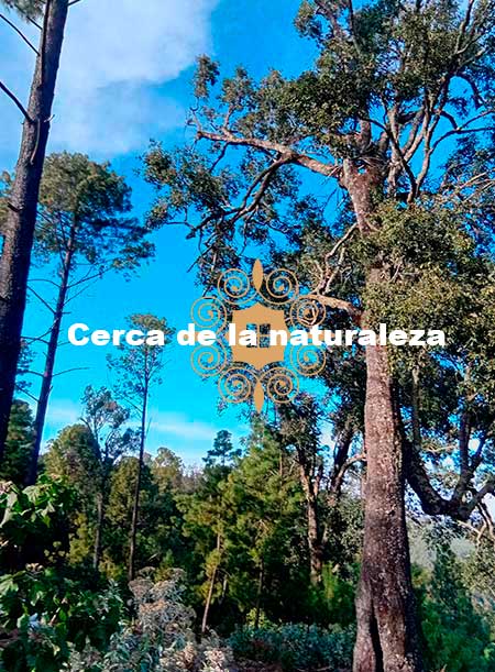 sierra del venado tapalpa terrenos en venta